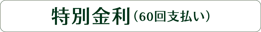 特別金利(60回払い)